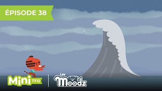 Les Moodz | Furax n'ose pas montrer sa tristesse | Sur TFO