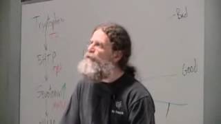 Robert Sapolsky - Environmental releasing stimuli for aggression