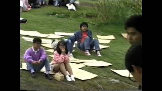 Lovers in a paradise by SARA  コスモス音楽祭 ( Live picnic in KOIDE 1988 )