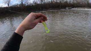 Maumee River - Hosey Dam - Indiana Fishing