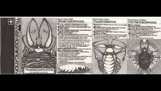 OMIT - Transmogrification B5 Eclosion (1993, cassette)