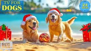 Dog TV🎵🐶Ultimate Calming Music for Dogs🐶💕Dog Easing Separation Anxiety & Stress Music