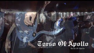 Torso Of Apollo - Abandoned Warehouse 2/24/24