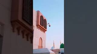 Labbaik Ya Rasool Allah لبيك لبيك لبيك يا رسول الله