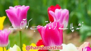 #trendingshorts #youtubevideo #viralshort #hamzarashid