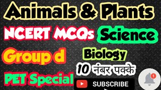 NCERT MCQs #plants #animals #harmon #groupd #science    #biology #ncert