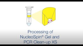 Processing of NucleoSpin Gel and PCR Clean-up XS