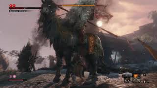Horse man dead