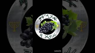 Romans 13:11 "HIGH TIMES" x Ephraim x Peezee