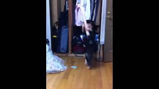 2yrs boy knows how to dance!