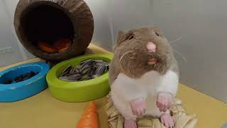 KAM S DETMI: LaborARTorium - experiment galeria | Spisska Nova Ves 2024