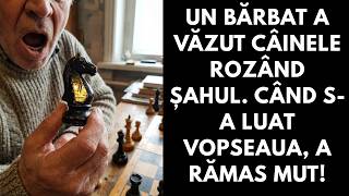 Un bărbat a văzut câinele rozând șahul. Când s-a luat vopseaua, a rămas mut!