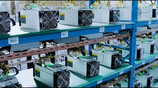 Monero Miners, Chainalysis Woes, and Cake Wallet updates! Monero Minute Sep7