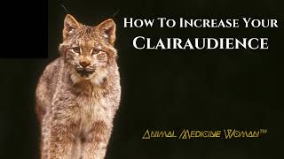How To Increase Your Clairaudience with the Lynx Animal Spirit Guide