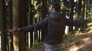 Lamahatta rute full video. #darjeeling #travel #incredibleindia #bengaltourism #music #viral #trend