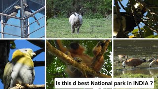 kaziranga Jeep Safari In Burapahar Range |  Kaziranga National Park safari | Kaziranga Tour Guide |