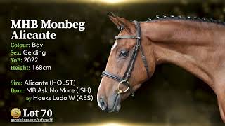 🎬 70 – MHB Monbeg Alicante | 3-Year-Old Bay Gelding: Goresbridge Go for Gold 2025