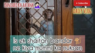 🐒Bandaro ne kiya nuksan😕|| #newvlog #newvideo #trending #nuksaan #bandarokaaatank #utube #funvideo