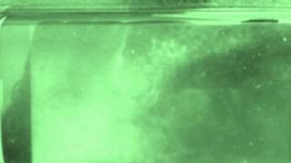 ALIEN REALES 10(RAFAEL FRANCO )2016
