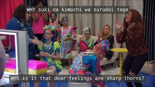 XOMG Pop Tribute