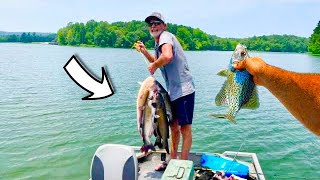 40 Lbs of Catfish in No TIME! SHOCKING!