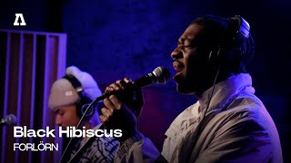 Black Hibiscus - FORLÖRN | Audiotree Live