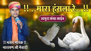 मारा हंसला रे उडजा रे उडजा || बिल्कुल नये अंदाज में हंसला | Singer - Narayan Mewari उदपुरा कंला लाईव