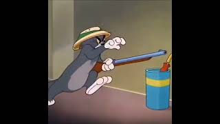 Tom And Jerry Funny Clips