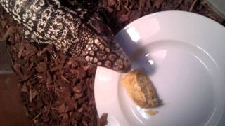 Tia and egg roll