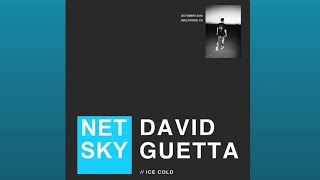 ICE COLD - NETSKY , DAVID GUETTA 6 MINUTES EDIT