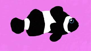 Chad Cannon: Music for the Ocean - Black Ocellaris Clownfish Dance (Live at USC)