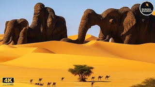 NATURAL WONDER | Magnificent Secret Places That Shocked The Entire World! | Travel Video 4K