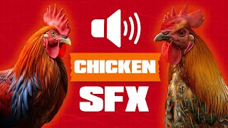 Sound to Call Chicken