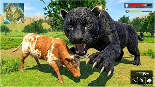 Realistic Black Panther vs Cow Attack Simulator 3D | Wild Animal Hunting Gameplay