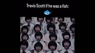 fein or fish