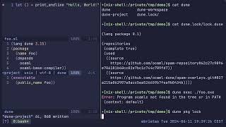 Dune package management experiment