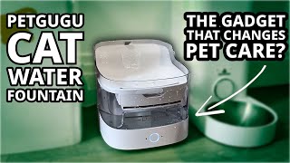 Petgugu Cat Water Fountain: Is your pet drinking enough?