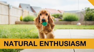 Natural Enthusiasm - Best Car Sales Training