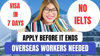 This Employer Is Giving Work Visa To Everyone | You Don't Need IELTS