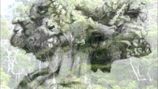 Panda Bear - Tomboy (Cover)