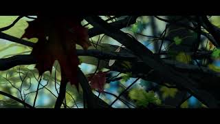 Dolby Sound Test 5.1 & 7.1 | Dolby Atmos | Leaf 1080p 5.1