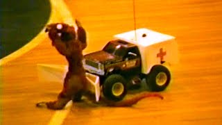 1990s - Gen X - High School RoadKill Olympics Project