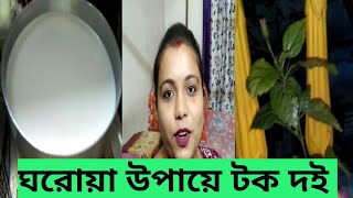 টক দই বানান ঘরোয়া পদ্ধতিতে। নতুন গাছ কিনলাম।#Moumita's Vlog #Bengoli Vlog