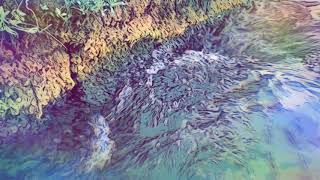 Edgar Frozen - The Trip