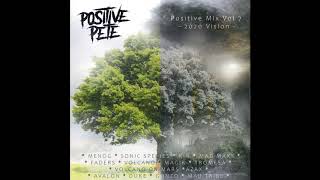 Positive Pete - Positive Mix Vol 7: 2020 Vision
