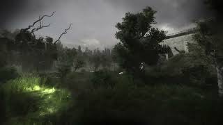 【 STALKER Anomaly】Wind - Rain
