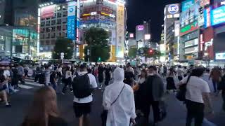 Shibuya scramble