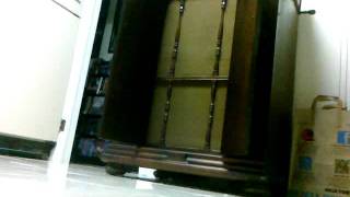 Victor Credenza plays Hound Dog - Willie Mae "Big Mama" Thornton
