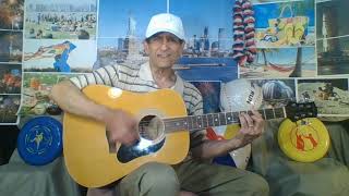 AMERICA - Neil Diamond | Nick Grgich Rendition