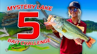 MYSTERY LAKE Five Bait Challenge!